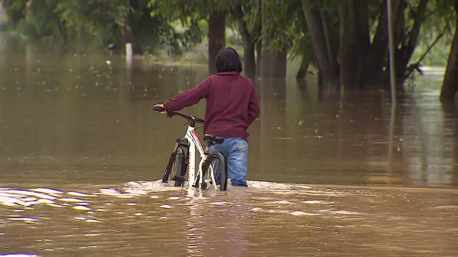 Enchentes em Taubaté: imóveis alagados após chuvas terão isenção de IPTU