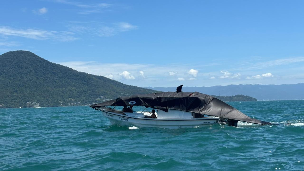 Carnamar reúne foliões em desfile temático de carnaval em alto-mar, em São Sebastião; veja FOTOS