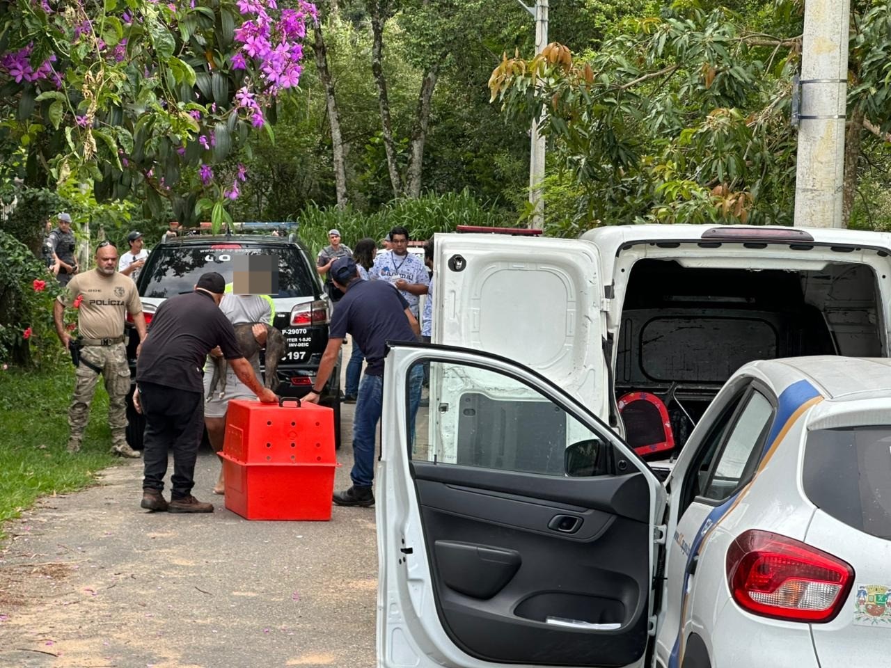 Polícia estima que ataque de pitbulls a mulher em São José durou cerca de 20 minutos