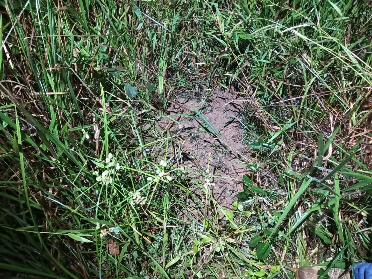 Pai que matou e enterrou corpo de bebê é condenado a 21 anos de prisão no interior de SP