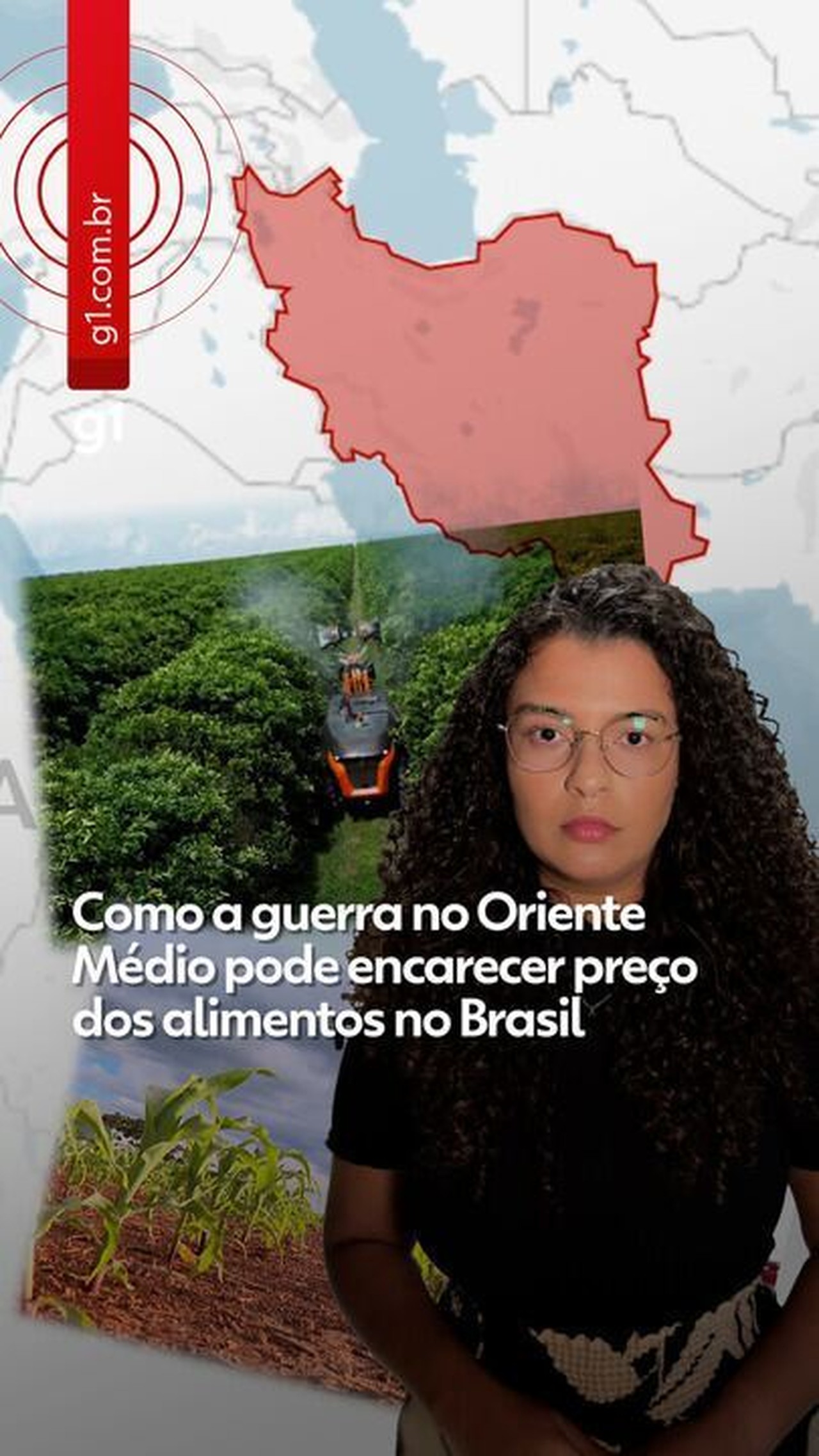 China flexibiliza regra sobre plantas daninhas na soja brasileira, e cargas devem ser liberadas