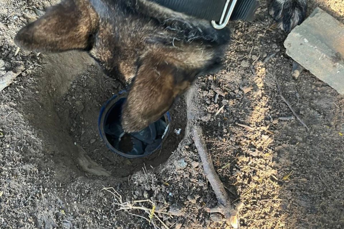 Operação da polícia prende 16 suspeitos e apreende armas e drogas em Taubaté, Tremembé e Pindamonhangaba