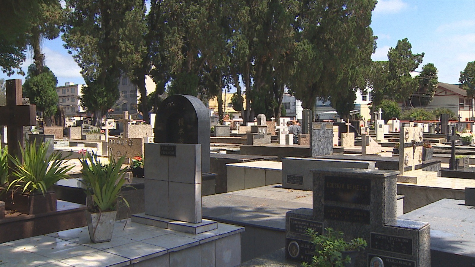 Confira o horário de funcionamento dos cemitérios no Dia das Mães em São José, Taubaté, Jacareí e Pindamonhangaba