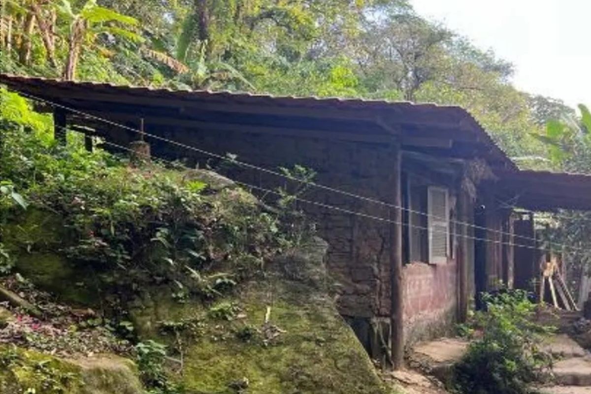 Tribunal do Júri absolve homem acusado de matar o próprio filho com golpes de machado em São Sebastião
