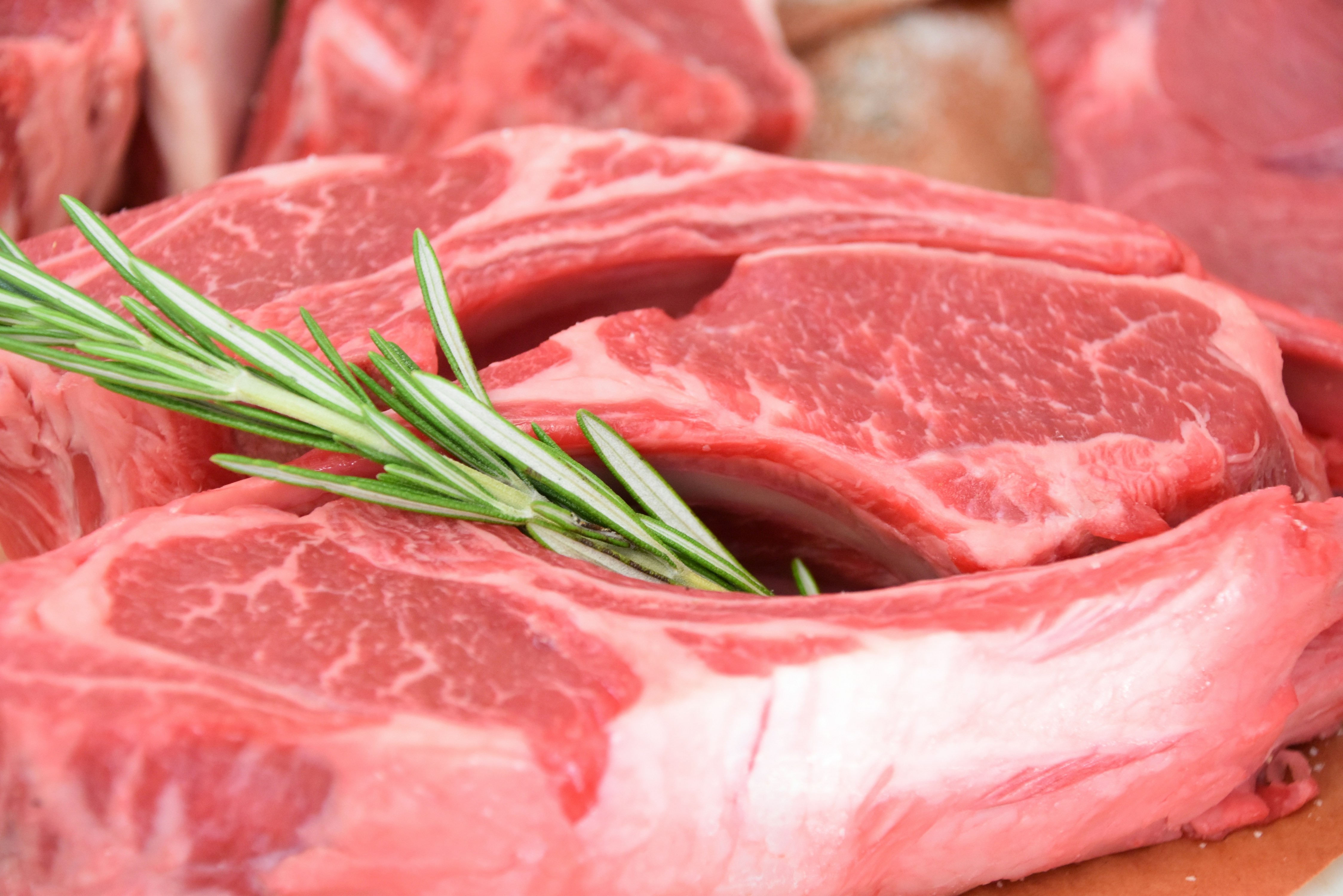 O embate sobre a carne brasileira na UE: protecionismo ou questão de saúde pública?