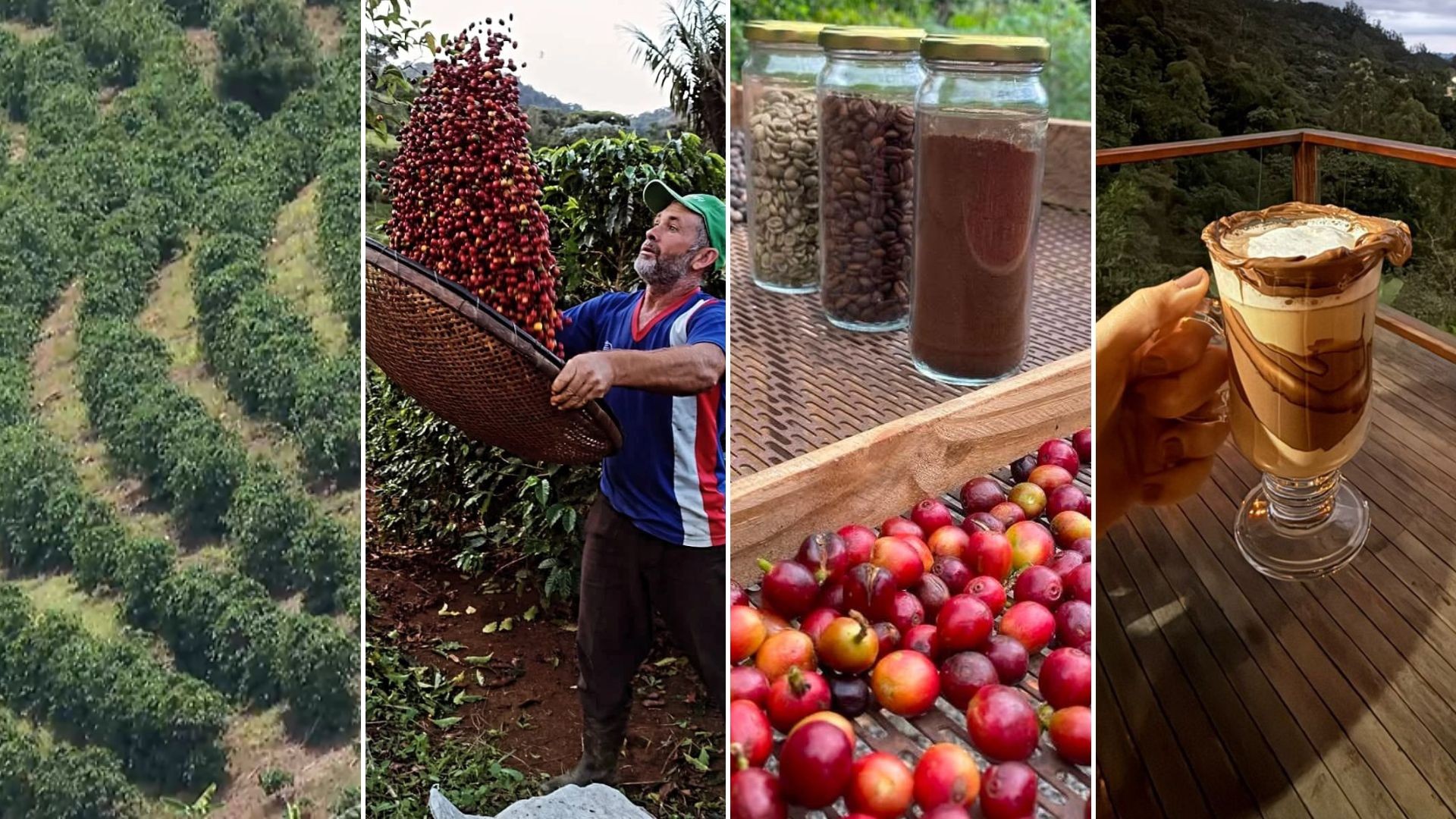 Do grão à experiência: como o Caparaó transforma café em produto turístico e amplia o potencial do Sul do ES