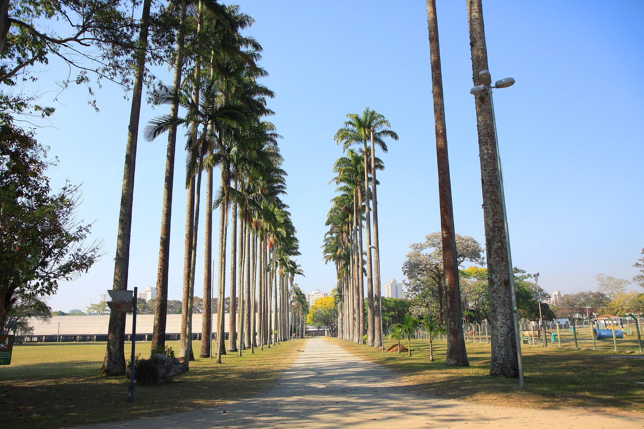 Semana começa com sol e calor no Vale e Litoral Norte; mudança no tempo chega a partir de quarta-feira