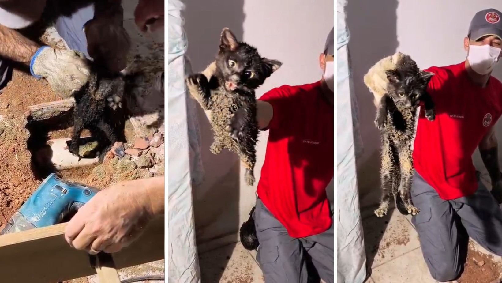 Filhote de gato é resgatado após ficar preso dentro de tubulação em Ubatuba