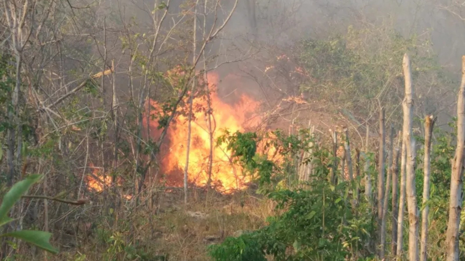 Tempo seco: Vale do Paraíba e região têm alerta para risco de incêndios durante o feriado