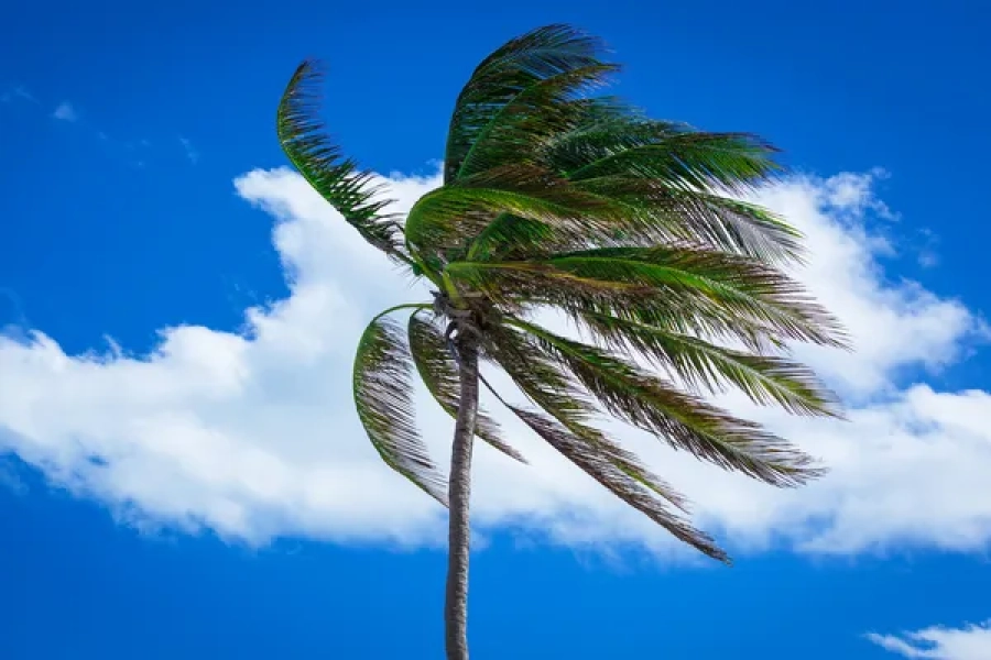 Vale do Paraíba entra em alerta para ventos de até 90 km/h