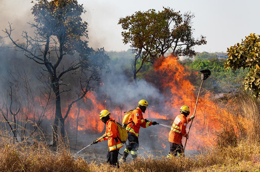 Cidades do Vale do Paraíba e Litoral Norte de SP entram em alerta pelo risco de incêndios nos próximos dias