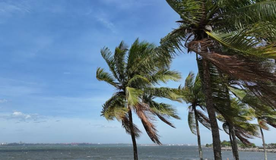 Marinha alerta para ventos de até 65 km/h no Litoral Norte de SP entre terça e quarta-feira