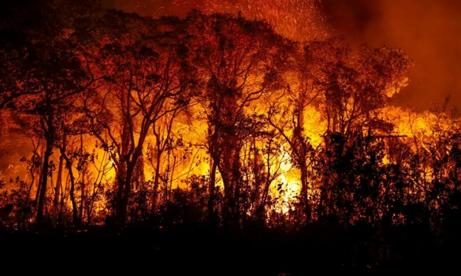 Estado de SP registra menor número de focos de incêndio desde 1998