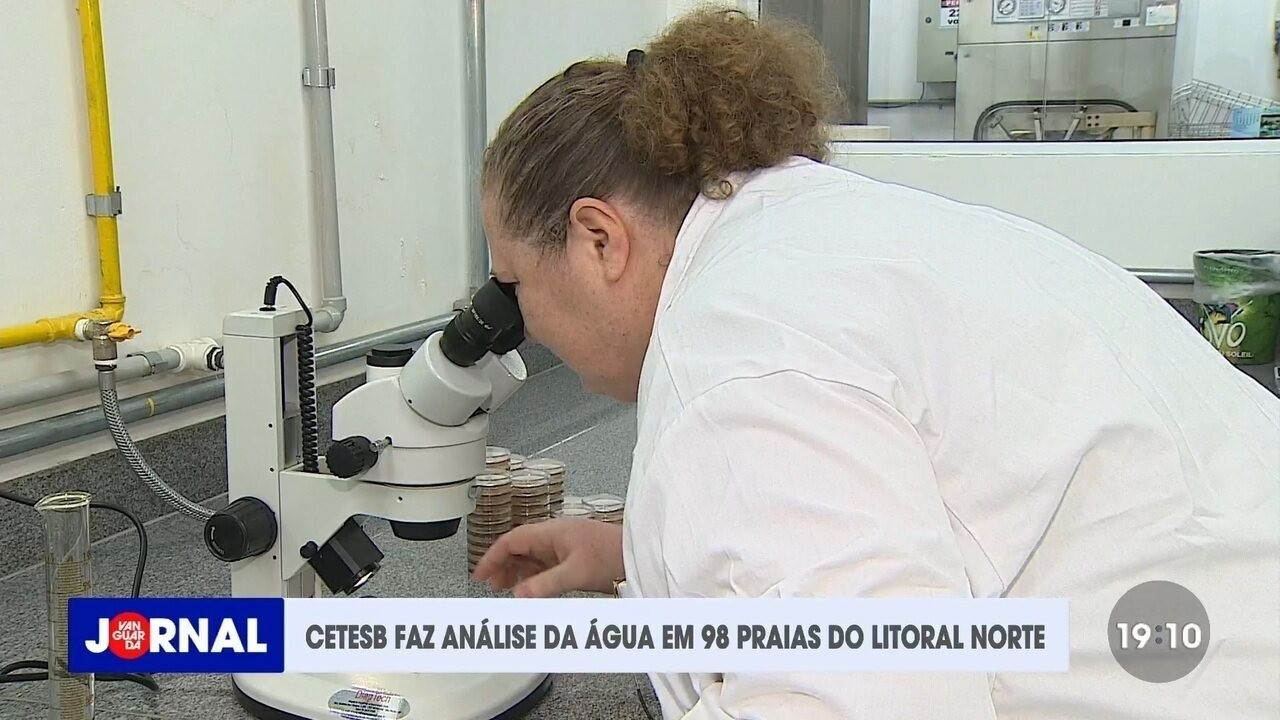 Litoral de São Paulo tem 59 praias impróprias para banho neste final de semana; veja a lista